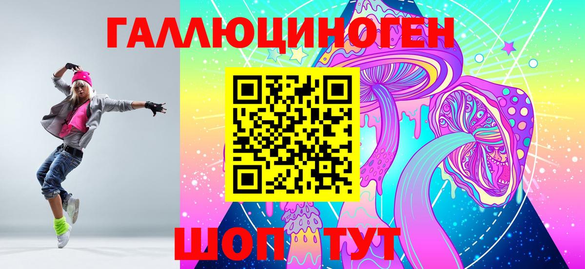 Псилоцибиновые грибы Psilocybine cubensis  Вход с VPN  Находка  Галлюциногенные грибы мухоморы 